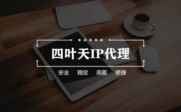 【朝阳代理IP】如何快速搭建代理IP？怎么检查代理的效果？